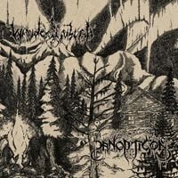 Panopticon & Waldgefluster - Split