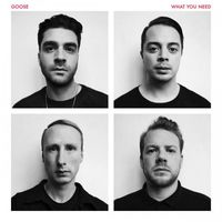 GOOSE - What You Need