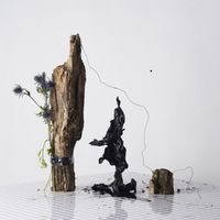 Is Tropical - Black Anything