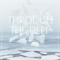 The Fin. - Through the Deep