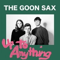 The Goon Sax - Up to Anything