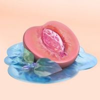 Ramriddlz - Venis