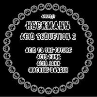 Thomas P. Heckmann - Acid To The Future