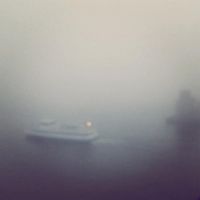 Young Mountain - The Garden of Biological Machines