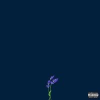 gnash - us