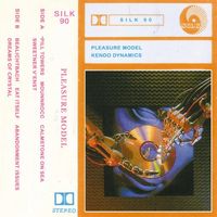 Pleasure Model - Kendo Dynamics