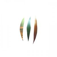 Polyenso - Pure In The Plastic