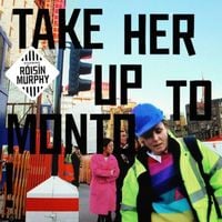 R&oacute;is&iacute;n Murphy - Take Her Up To Monto