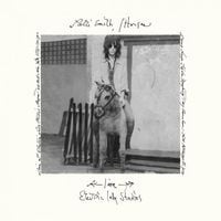 Patti Smith - Horses: Live at Electric Lady Studios