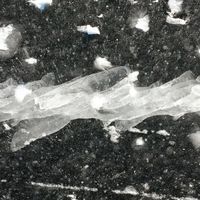 France Jobin - Singulum