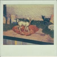 Speedy Ortiz - Foiled Again