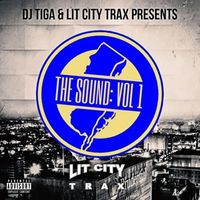 DJ TiGa - The Sound: Vol. 1