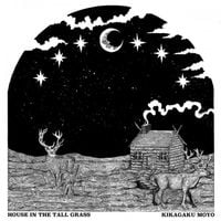 Kikagaku Moyo - House in the Tall Grass