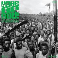 Various Artists - Wake Up You! The Rise and Fall of Nigerian Rock 1972-1977 Vol. 2