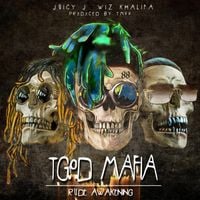 Juicy J, Wiz Khalifa & TM88 - TGOD Mafia: Rude Awakening