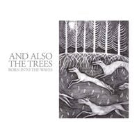 And Also The Trees - Born Into the Waves