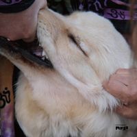 Christian Fennesz & Jim O&rsquo;Rourke - It&rsquo;s Hard for Me to Say I&rsquo;m Sorry