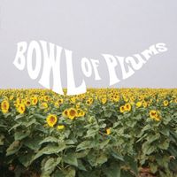 Ben Seretan - Bowl of Plums