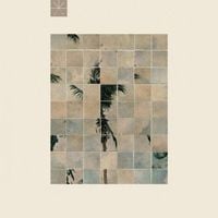 Touch&eacute; Amor&eacute; - Palm Dreams