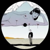 Lake Haze - Natural Insight