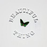 The Stone Roses - Beautiful Thing