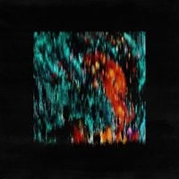 STWO - D.T.S.N.T.