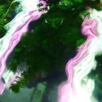 Sky H1 - Motion