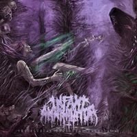 Infant Annihilator - The Elysian Grandeval Gal&egrave;riarch