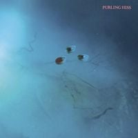 Purling Hiss - High Bias