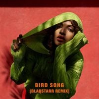 M.I.A. - Bird Song (Blaqstarr Remix)