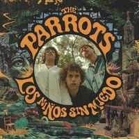 The Parrots - Los Ni&ntilde;os Sin Miedo