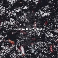 Kobosil - We Grow, You Decline