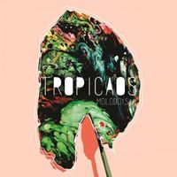 Molodoys - Tropicaos