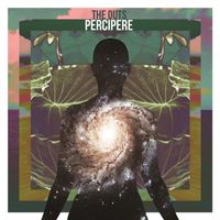 The Outs - Percipere