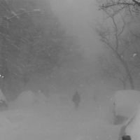 Cashmere Cat - Wild Love