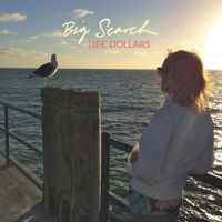 Big Search - Life Dollars