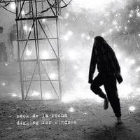 Zack de la Rocha - digging for windows