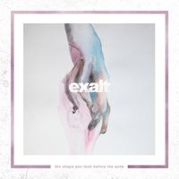 Exalt - The Shape You Took Before the Ache