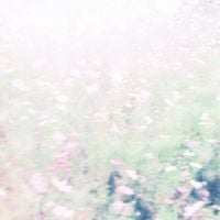 Chihei Hatakeyama + Hakobune - The fall rises