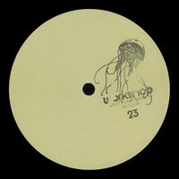 Willow - Workshop 23