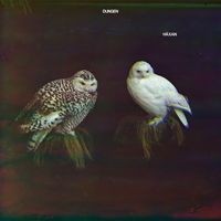 Dungen - H&auml;xan
