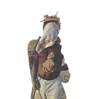 The Nativist - Various Options