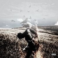 Travis Scott - Days Before Birds