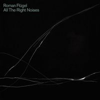 Roman Fl&uuml;gel - All The Right Noises