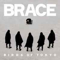 Birds of Tokyo - BRACE