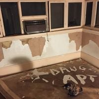 Drug Apartments - Drug Apts EP