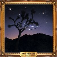 The Killers - Don't Waste Your Wishes