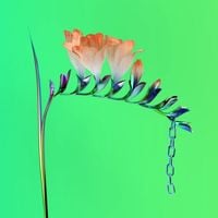 Flume - Skin Companion I