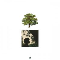 Trapo - Shade Trees