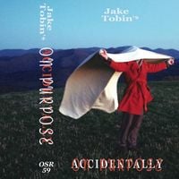 Jake Tobin - Accidentally on Purpose